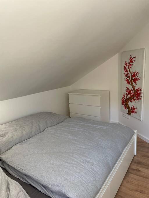 Dein Haus Am Rhein Apartment Koblenz (Rhineland-Palatinate)