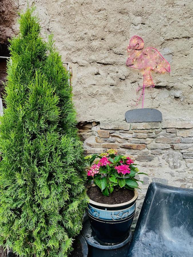 Apartment Dein Haus Am Rhein